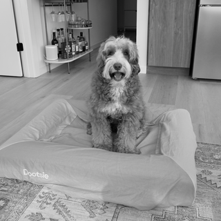 Caring for your Dootsie Bed