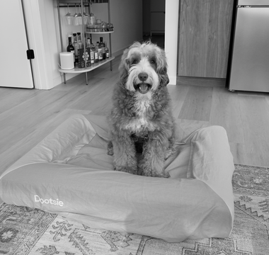 Caring for your Dootsie Bed