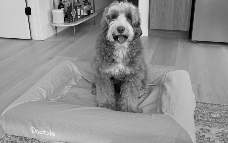 Caring for your Dootsie Bed