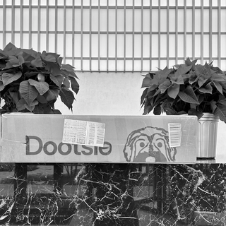 Behind the Scenes of Creating Dootsie