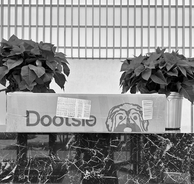 Behind the Scenes of Creating Dootsie