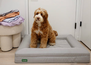 Dog Bed
